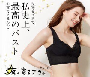 効果なし?「夜寄るブラ+plus」の真相とは 良い口コミ~悪い評判まで